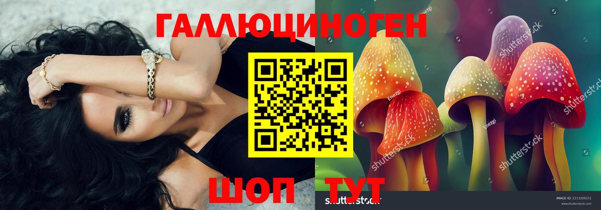 Галлюциногенные грибы Psilocybe  Вход с VPN  Псилоцибиновые грибы MAGIC MUSHROOMS  Бор 